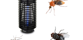 Lamps for the destruction of flying insects