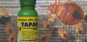 Remedy for bed bugs Ram