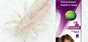 Remedy for lice Paranite and reviews of its use
