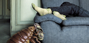 How to get rid of bedbugs in the couch
