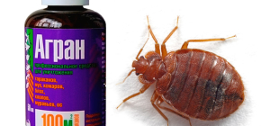 The use of Agran for the destruction of bed bugs