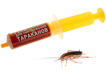 Remedies for cockroaches in the syringe (gels): a review of drugs and the nuances of their use
