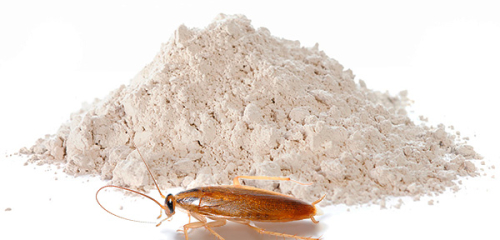 Cockroach Powders: A Review of Effective Means