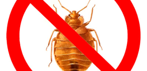 Poison from bedbugs: how to choose and buy a really effective remedy?
