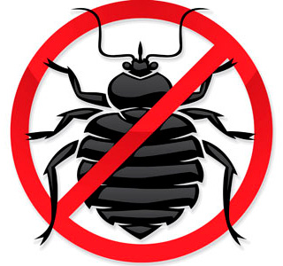 Fight with bed bugs