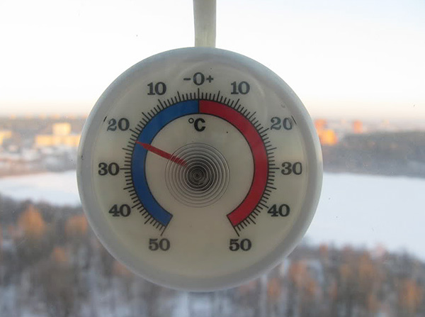 Bedwantsen sterven bij temperaturen onder de minus 22 graden Celsius.
