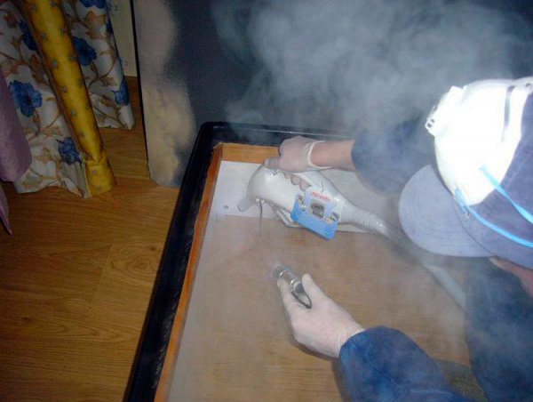 You can get rid of bedbugs in furniture with the help of hot steam from a steamer ...