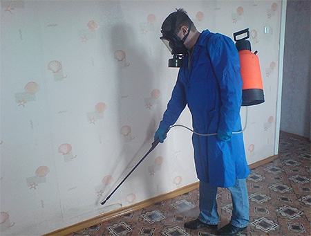 Disinsection from bedbugs by professionals - the most effective method of getting rid of insects