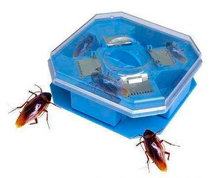 Cockroach trap