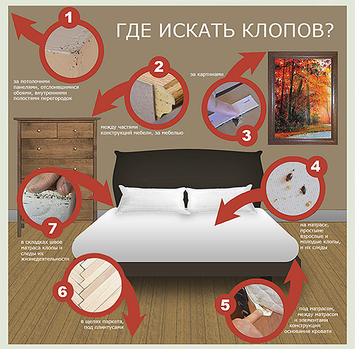 The picture shows the place in the apartment where you should look for bedbugs first