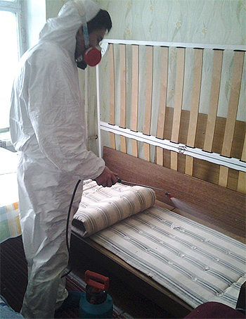 Bearbetar madrassen från bedbugs