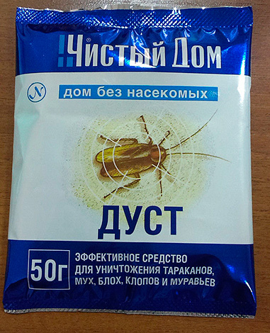 Dust Cockroach Clean House