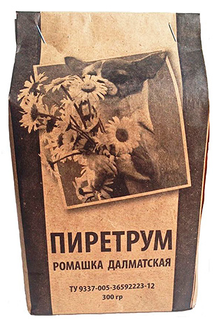 Σκόνη Pyrethrum από χαμομήλι λουλούδια Δαλματίας.