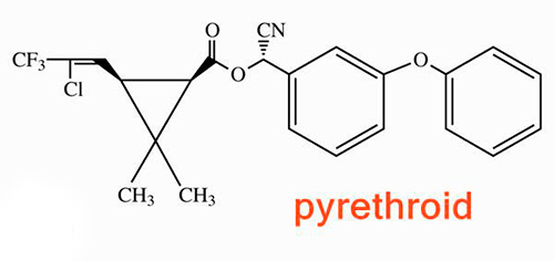 Ett exempel på pyretroids kemiska struktur