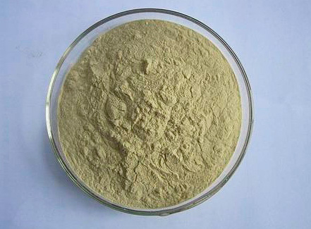 Pyrethrum - powder from ground chamomile inflorescences