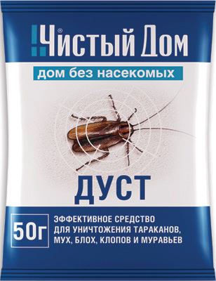 Insect Clean Clean House