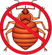 Although Tetrix gained fame as an effective remedy for bedbugs, but it is not easy to buy