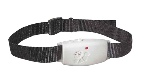 Photo of flea ultrasound collar for dogs