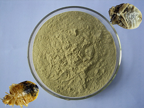 Pyrethrum powder is a natural remedy for the destruction of bedbugs and other insects.
