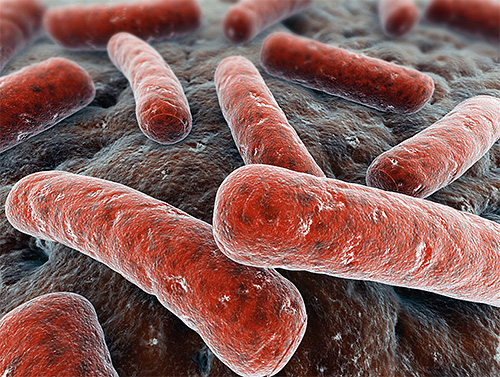 Ur sansynns synvinkel kan mirakelkstrakt inte selektivt förstöra endast mykobakterier som orsakar tuberkulos