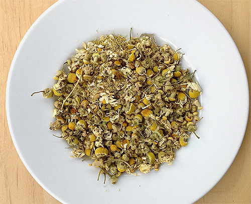 Some types of chamomile contain natural insecticides - pyrethrins