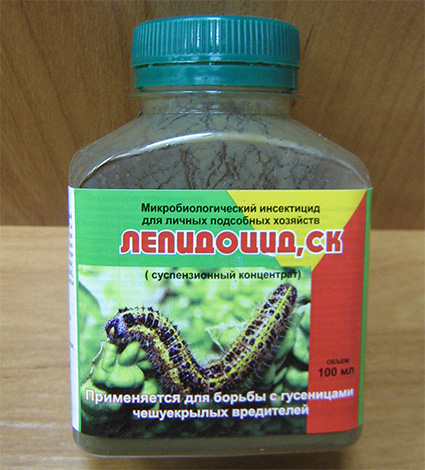The drug Lepidotsid for the fight with cabbage moth