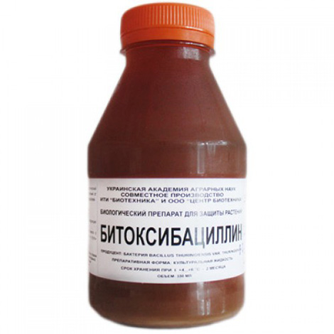 Bitoxibacillin is successfully used to kill potato moths.