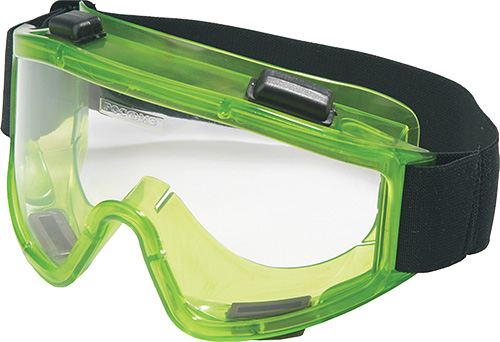 Při likvidaci štěnice domácí by měly být použity ochranné brýle