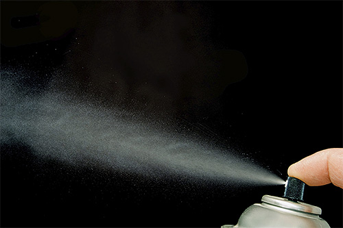 The aerosol as a whole penetrates the insect's organism more easily in comparison with the powder, therefore it acts faster. But speed is not always the deciding factor in the fight against bedbugs