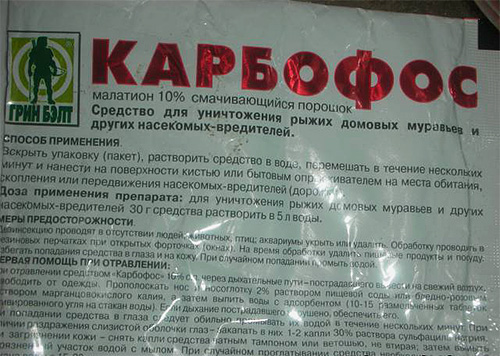 According to the instructions, Karbofos powder must be diluted with water before use.