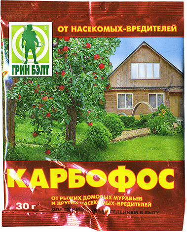 A strong insecticide in the composition of karbofos works well with lice