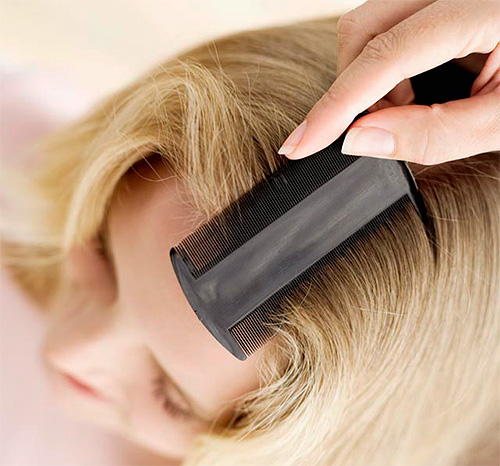 Let's look at the main possible causes of lice on the head.