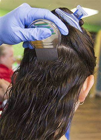 How to prevent the appearance of lice in a child and get rid of already existing lice - try to figure it out together