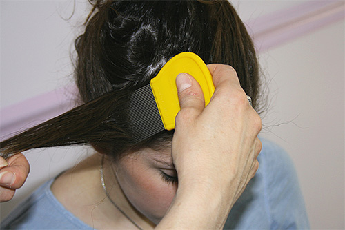 Combing hair should be combed strand by strand, starting from the roots
