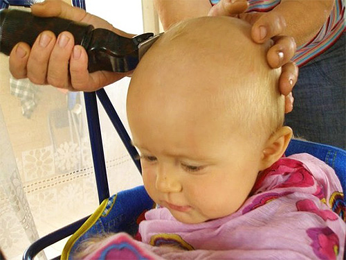 Haircut - a radical, but at the same time very effective way to deal with lice