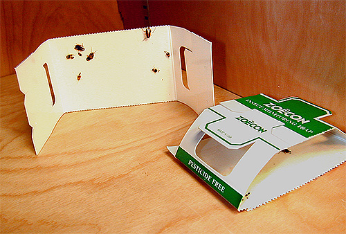 Not only cockroaches but bugs also stick to the sticky surface of the trap