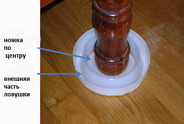 Proper placement of the bed bug trap