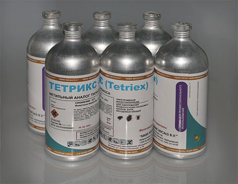 Professionella hjälp av vägglöss Tetriks (Tetriex) har en kraftigt markerad dålig lukt