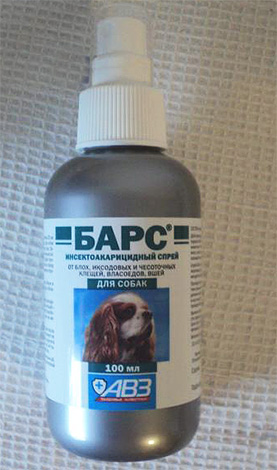 Applying a flea bars spray, it is advisable to put a muzzle on the dog