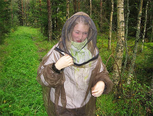 To avoid insect bites in the forest, including elk fleas, use a mosquito net.