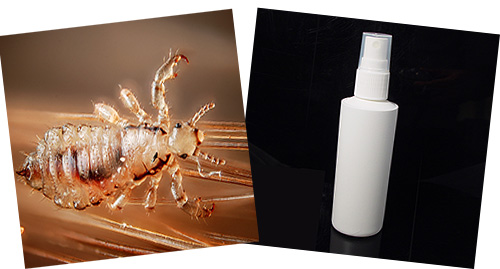 Choosing a spray for lice and nits