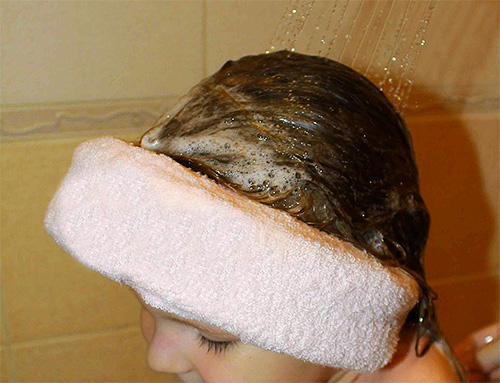 Efter det att tiden har gått, tvättas det pediculicida shampooet, vilket undviker kontakt med ögonen.