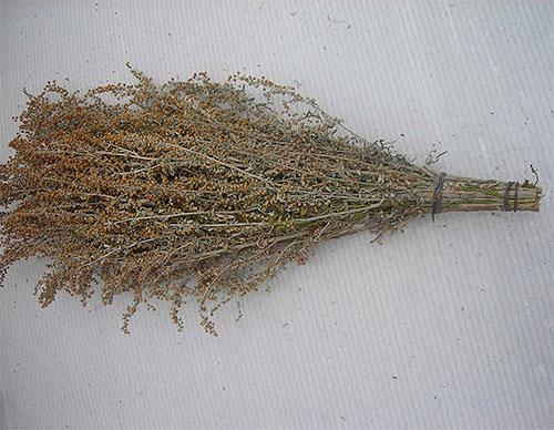 For the prevention of the penetration of fleas in the home, you can lay out bundles of wormwood or tansy