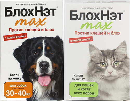 Get acquainted with the line of drugs Blohnet to fight fleas in cats and dogs