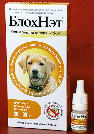 Blohnette drops against ticks and fleas in dogs