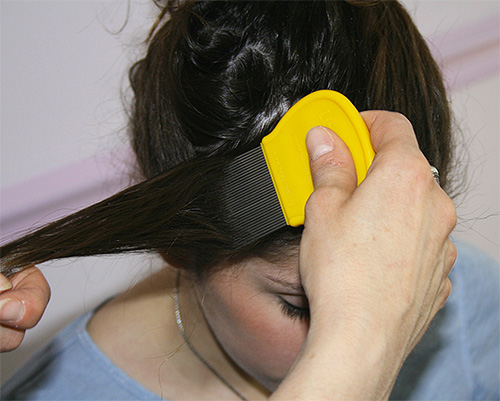 After the tar soap will be washed away from the hair, it is necessary to comb the lice with a comb behind the strand