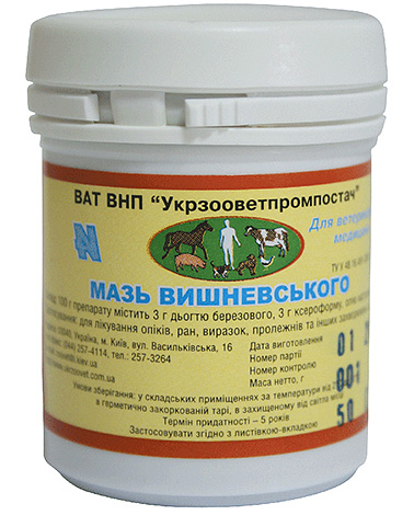 A well-known remedy based on birch tar - Vishnevsky ointment (not effective against lice)