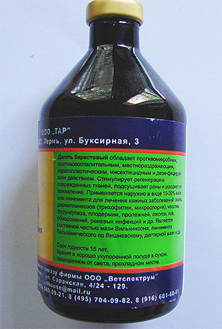 Birch tar is an effective antimicrobial and anti-inflammatory agent.