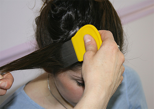 After treatment of the head with a spray or shampoo, you should comb the lice with a special comb, strand by strand.