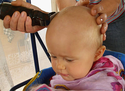 Shaving lice-infected areas of the body is the best way to get rid of lice.